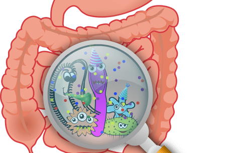 An illustration of the intestine and a magnify mirror zooming in on the bacteria and bugs