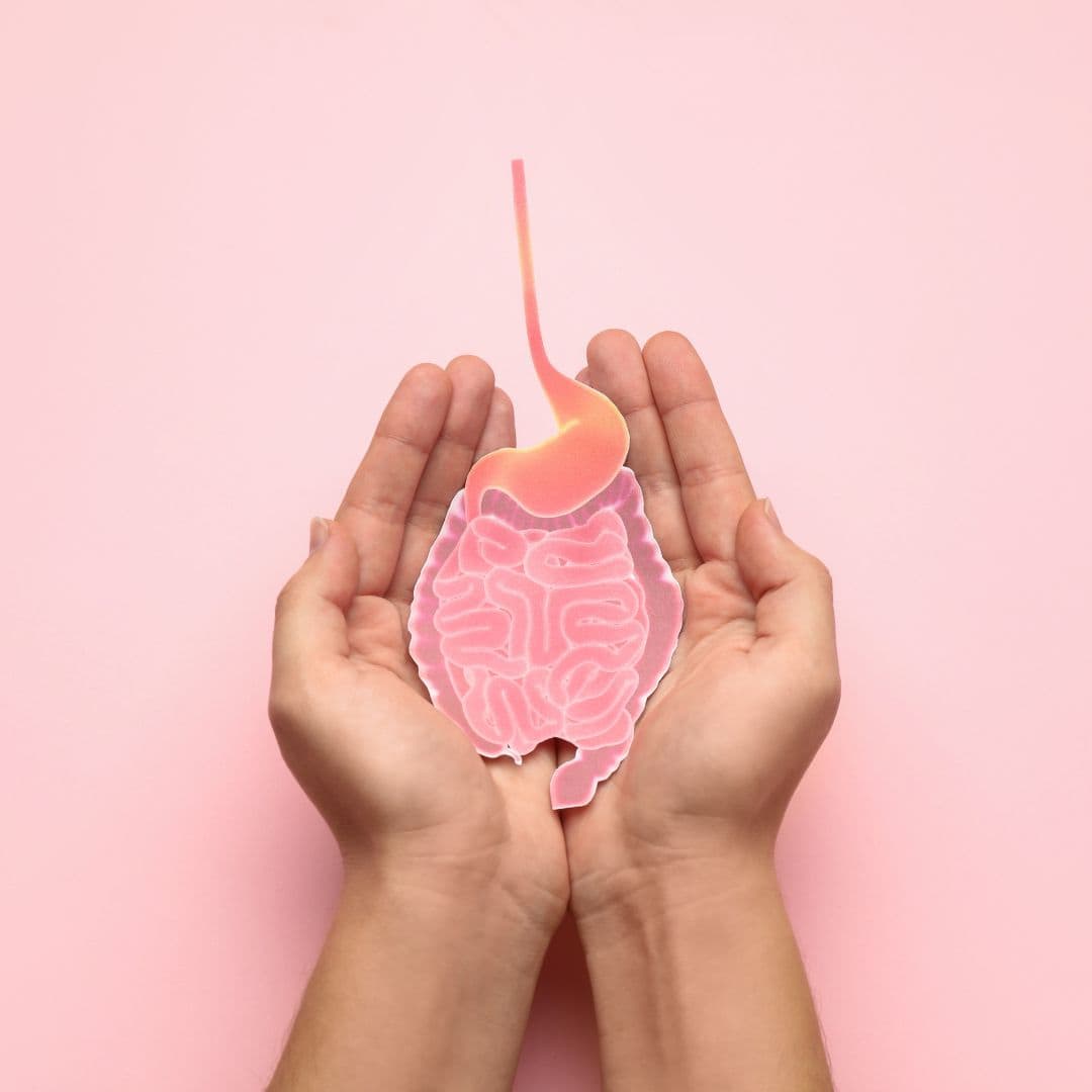 Understand & treat: Bile Acid Malabsorption | The Gut Health Doctor