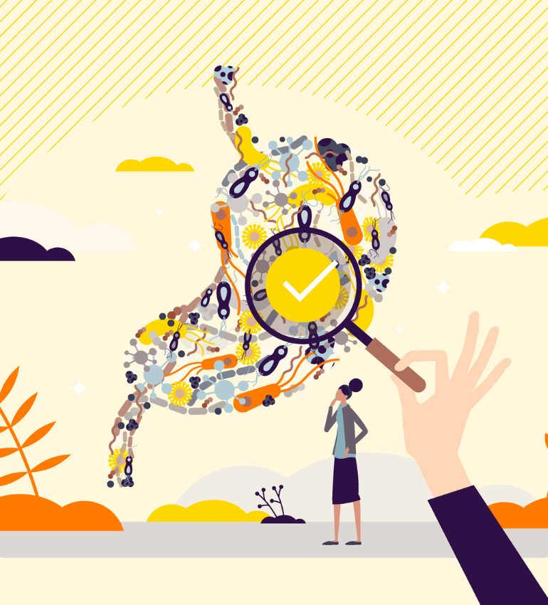 Illustration of the stomach containing cells, bacteria and microbes, and a magnifying glass with a yellow tick symbol