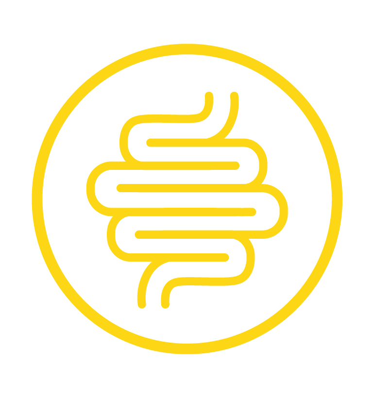Illustration to reflect gut health optimisation and a gut health dietitian
