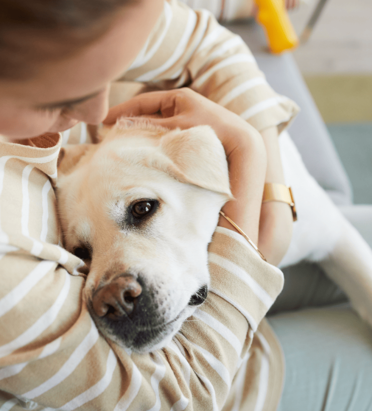 Person hugging a dog to promote immune health