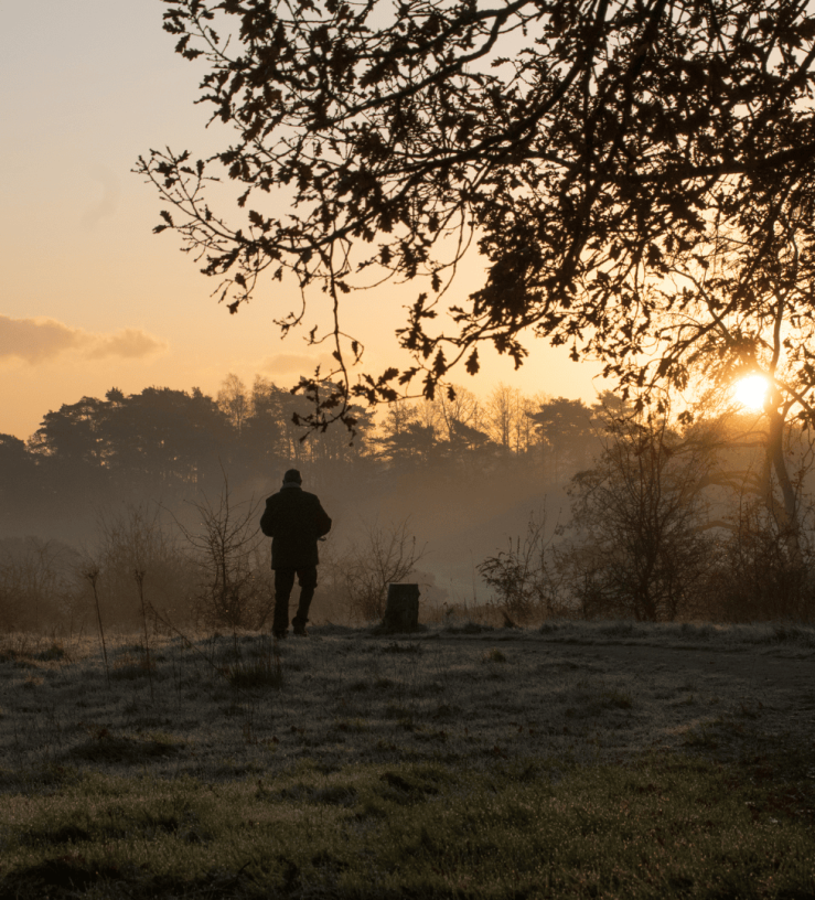 Person getting morning sunlight